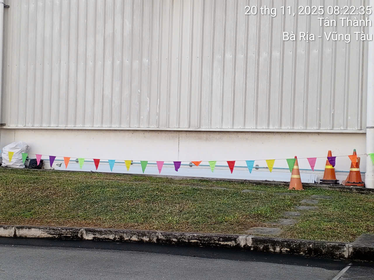 CHỐNG DỘT NITORI