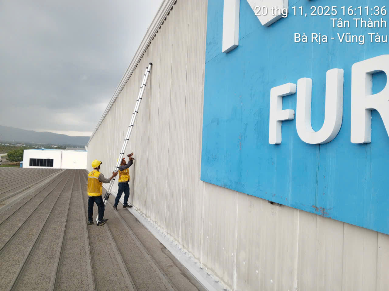 CHỐNG DỘT NITORI